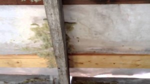 Пароизоляция для бани Пароизоляция для бани