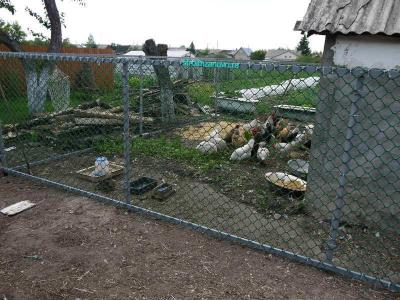  
Забор из пластиковой сетки