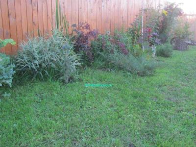 Ландшафтный дизайн своими руками
Ландшафтный дизайн своими руками