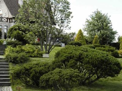 Дизайн садового участка  
Дизайн садового участка