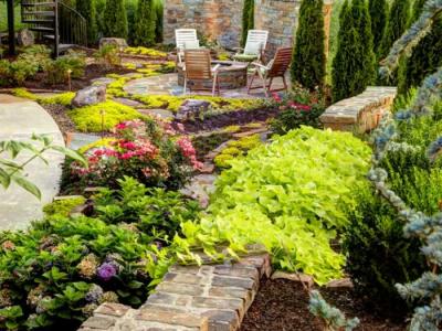 Дизайн садового участка  
Дизайн садового участка