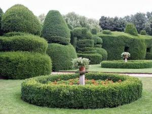 Топиари – искусство фигурной стрижки растений  
Топиари – искусство фигурной стрижки растений