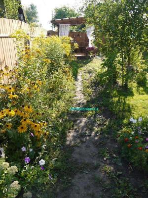 Дорожка из камня  
Дорожка из камня