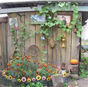 Дизайн дачного участка  
Дизайн дачного участка