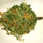 Как правильно сушить веники для бани Как правильно сушить веники для бани