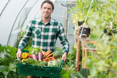Укрывной материал для парников и теплиц Укрывной материал для парников и теплиц