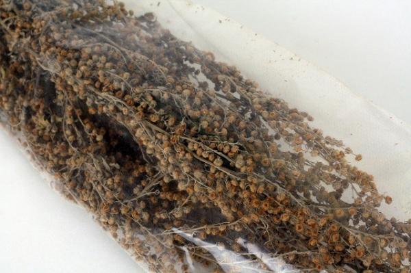 Как правильно париться в бане для здоровья Как правильно париться в бане для здоровья