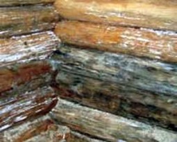 Пропитка для бани внутри — как выбрать и разновидности Пропитка для бани внутри — как выбрать и разновидности