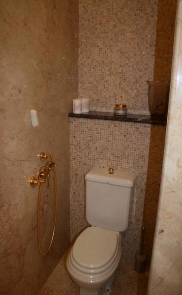 Ремонт туалетной комнаты: выбираем сантехнику и отделочные материалы Ремонт туалетной комнаты: выбираем сантехнику и отделочные материалы