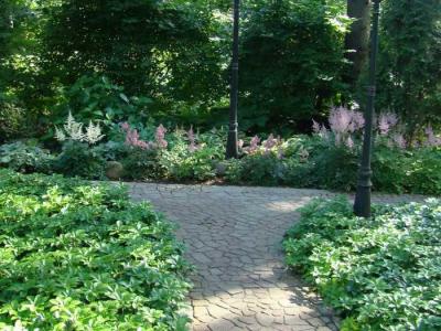 Сад в природном стиле  
Сад в природном стиле