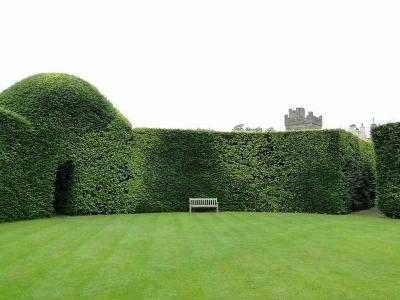 Топиари – искусство фигурной стрижки растений  
Топиари – искусство фигурной стрижки растений