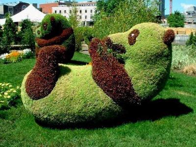 Топиари – искусство фигурной стрижки растений  
Топиари – искусство фигурной стрижки растений