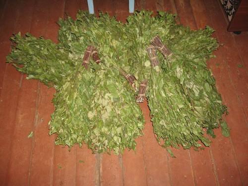 Как правильно сушить веники для бани Как правильно сушить веники для бани