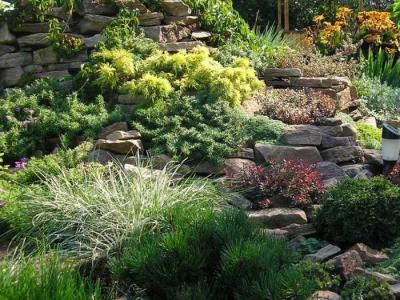 Дизайн садового участка  
Дизайн садового участка