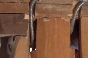 Потолок в бане своими руками Потолок в бане своими руками