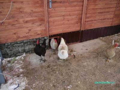 Как сделать дверь  
Как сделать дверь