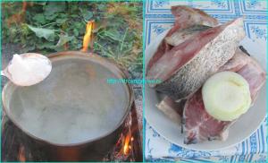 Уха двойная
Уха двойная