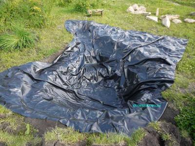  
Пруд на участке как важный элемент ландшафтного дизайна