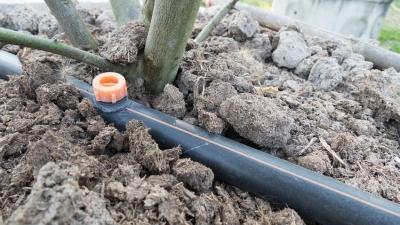 Система полива на даче: варианты орошения Система полива на даче: варианты орошения