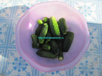  
Рецепты маринованных огурцов