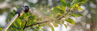 Применение инсектицидов в саду