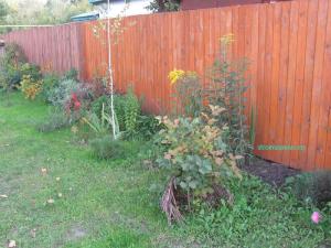 Ландшафтный дизайн своими руками
Ландшафтный дизайн своими руками