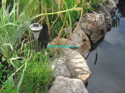 Как сделать пруд на даче  
Как сделать пруд на даче