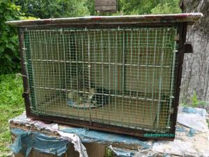 Клетка для цыплят  
Клетка для цыплят