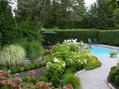 Дизайн садового участка  
Дизайн садового участка