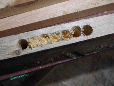 Делаем дверь своими руками  
Делаем дверь своими руками