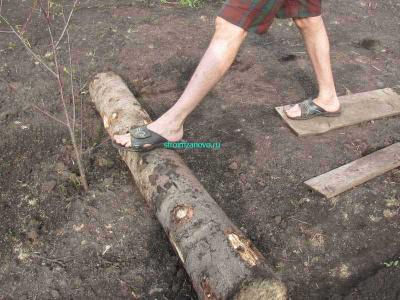 Газон своими руками  
Газон своими руками