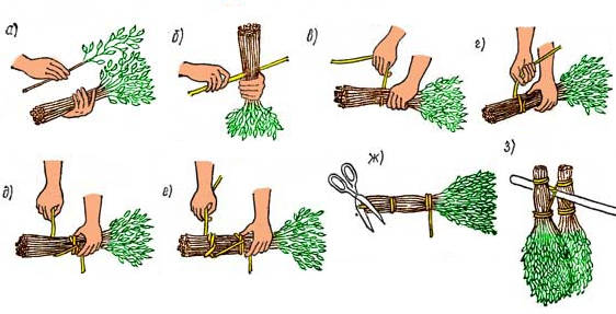Как правильно сушить веники для бани Как правильно сушить веники для бани