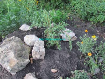 Альпийская горка своими руками  
Альпийская горка своими руками