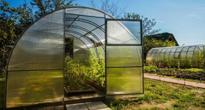 Парники своими руками: проекты и материалы для строительства