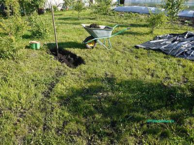 Пруд на даче  
Пруд на даче