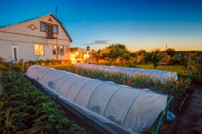 Укрывной материал для парников и теплиц Укрывной материал для парников и теплиц