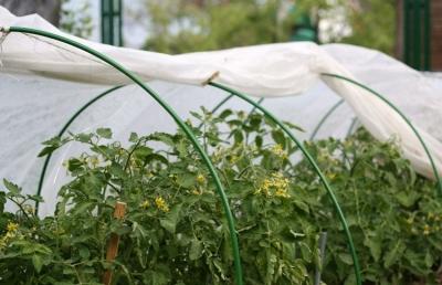 Спанбонд: что это такое, возможности материала и эффективность использования Спанбонд: что это такое, возможности материала и эффективность использования