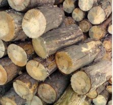 Как правильно топить баню Как правильно топить баню