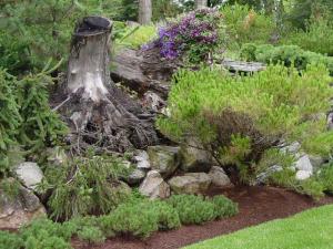 Рутарий своими руками
Рутарий своими руками