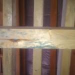 Как устранить скрип деревянного пола Как устранить скрип деревянного пола