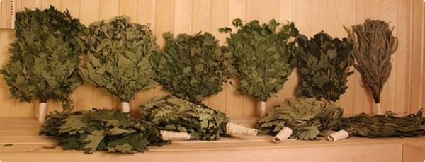 Как правильно сушить веники для бани Как правильно сушить веники для бани