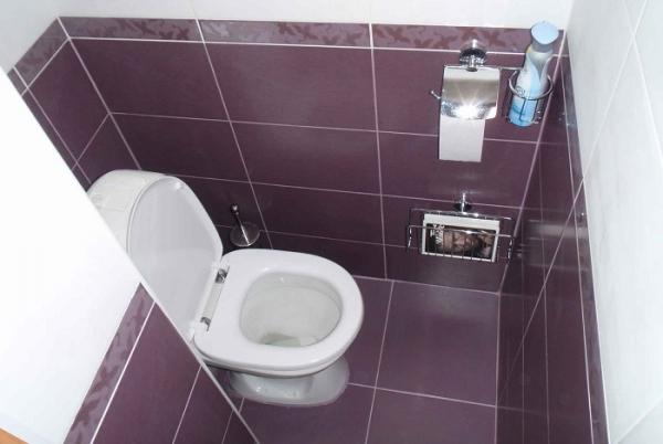 Ремонт туалетной комнаты: выбираем сантехнику и отделочные материалы Ремонт туалетной комнаты: выбираем сантехнику и отделочные материалы