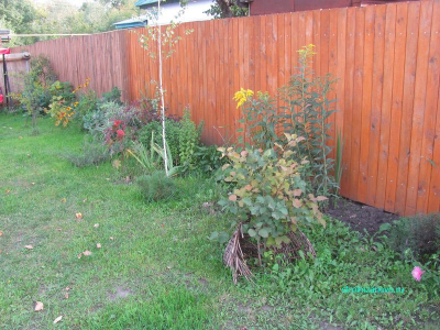 Виды заборов  
Виды заборов