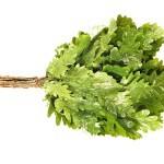 Как правильно сушить веники для бани Как правильно сушить веники для бани