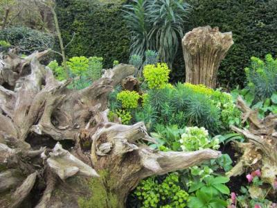 Рутарий своими руками
Рутарий своими руками