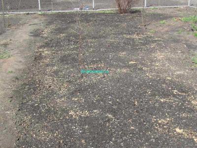 Газон своими руками  
Газон своими руками