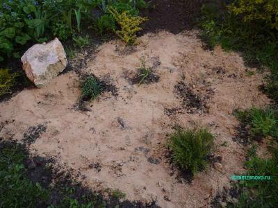 Ландшафтный дизайн участка  
Ландшафтный дизайн участка