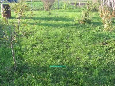 Газон своими руками  
Газон своими руками