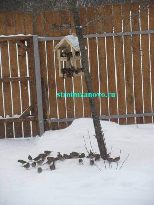 Как сделать кормушку для птиц  
Как сделать кормушку для птиц