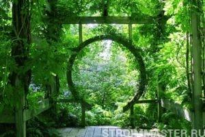 Перголы в ландшафтном дизайне